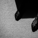 Illustration for article titled 39 *Scratchy Scratchy* Photos of Dogs
